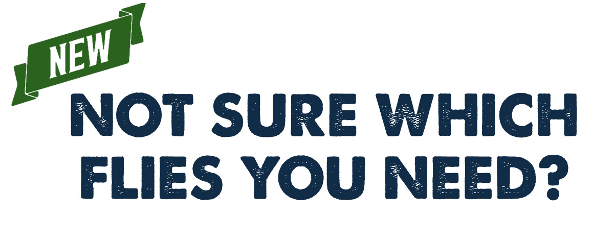 not sure which flies you need icon 1