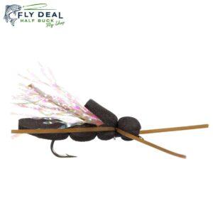 cicada terrestrial fly