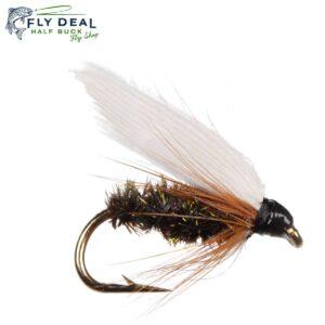 coachman wet fly