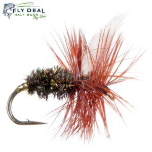 dry coachman dry fly