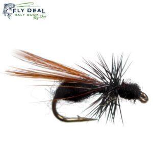 flying ant black terrestrial fly
