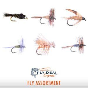 northeast selection fly assortment