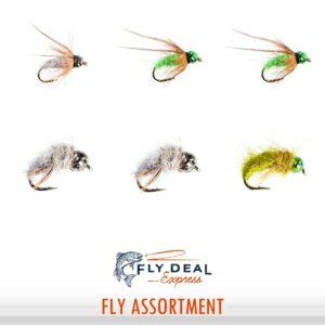 nymph head caddis assortment