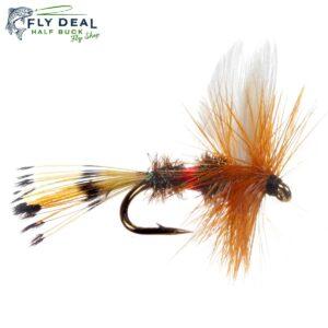 royal coachman dry fly