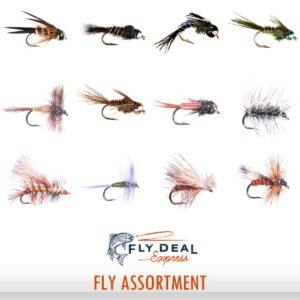 spring fly assortment deluxe fly assortment