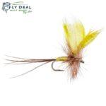 yellow drake mayfly dry fly